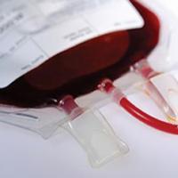 Coleta de março arrecadou 52 bolsas de sangue