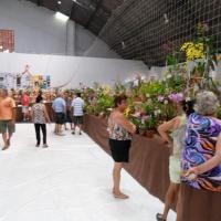 20ª Exposição Nacional de Orquídeas é atração deste final de semana