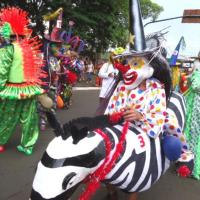 Carnaval em Leme atrai mais de 40 mil foliões