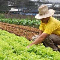 Secretaria de Agricultura realiza reunião com produtores familiares