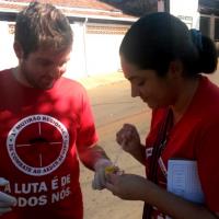 Mutirão contra o Aedes no Parque São Manoel recolhe duas toneladas de criadouros