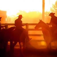 Leme Rodeio Festival e Prova dos Três Tambores