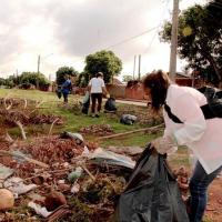 Sábado tem mutirão contra a dengue no Jardim das Palmeiras