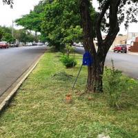 Foto/legenda - Crédito: Secretaria de Serviços Públicos - Mutirão de limpeza urbana chega à Praça do Padre Cícero
