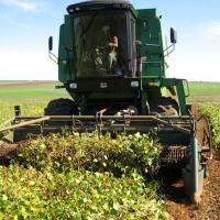 Foto Divulgação: Produtores rurais devem entregar Dipam “A” até 31 de março