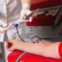 Foto Divulgação: Última coleta de sangue do ano acontece na quarta-feira dia 17