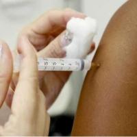 Foto Divulgação: Vacina contra dengue terá público definido por estudo