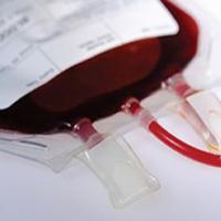Foto Divulgação: Coleta de sangue de fevereiro acontece nessa quarta (19)